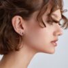 IMG_65621.jpg Small Stud Earrings "Bird" with Cherry Amber