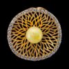 WARDA.jpeg Zircon&Honey Amber Ring