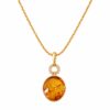 WhatsApp-Image-2026-10-05-at-12.50.38.jpeg Halo Baltic Amber Necklace