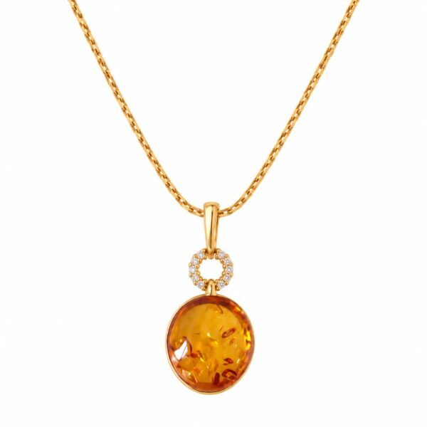 WhatsApp-Image-2026-10-05-at-12.50.38.jpeg Halo Baltic Amber Necklace