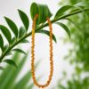 green-br.jpeg Golden Amber Necklace