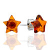 Charming Stud Earrings