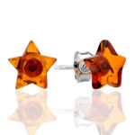 Charming Stud Earrings