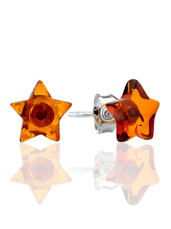 Charming Stud Earrings