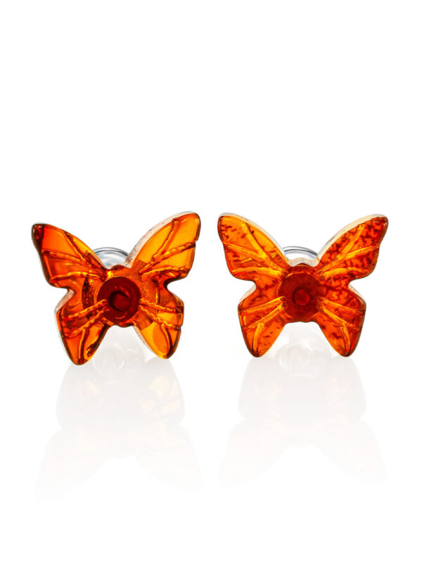 Charming Stud Earrings