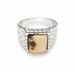 White Natural Baltic Amber