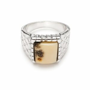 wa1.jpeg White Natural Baltic Amber