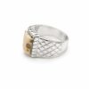 wa2.jpeg White Natural Baltic Amber